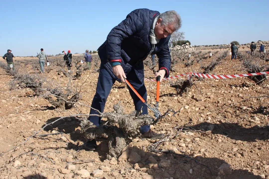 concurso poda ME, alcalde podando