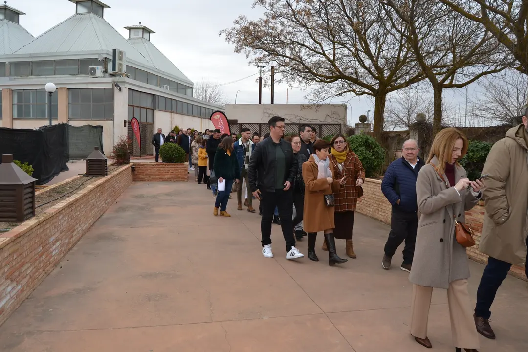 vino y cultura, cata en Campo ed Criptana (1)