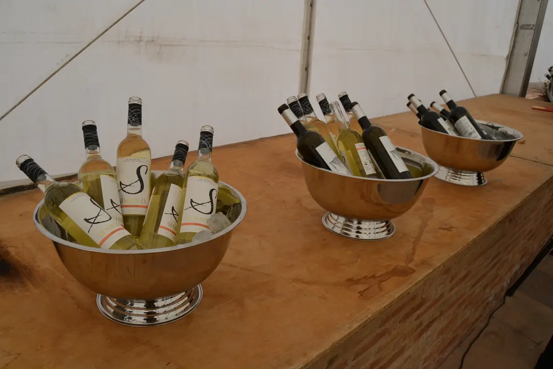 vino y cultura, cata en Campo ed Criptana (8)