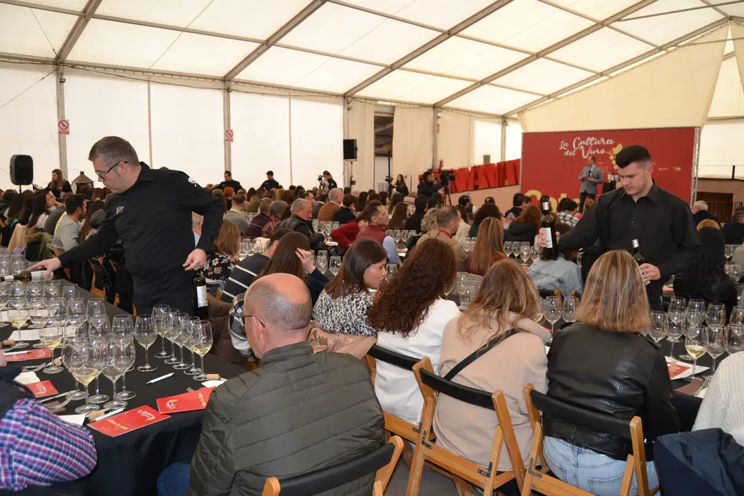 vino y cultura, cata en Campo ed Criptana (11)