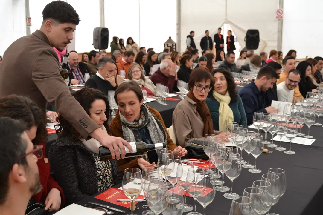 vino y cultura, cata en Campo ed Criptana (12)