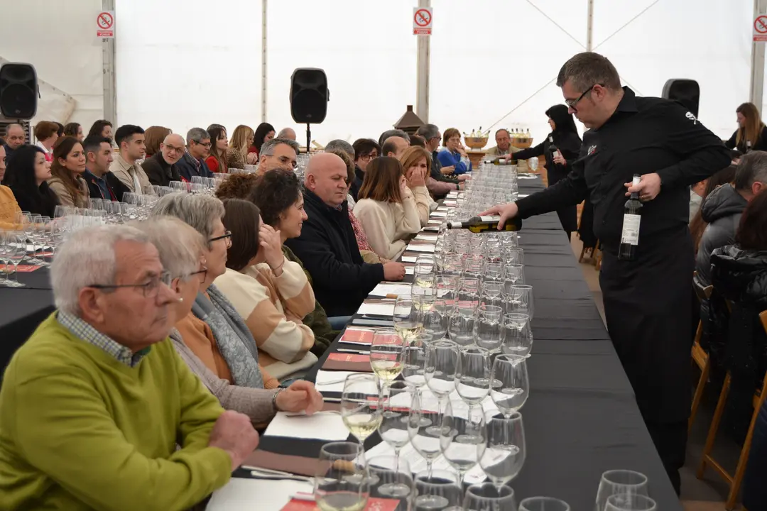 vino y cultura, cata en Campo ed Criptana (13)