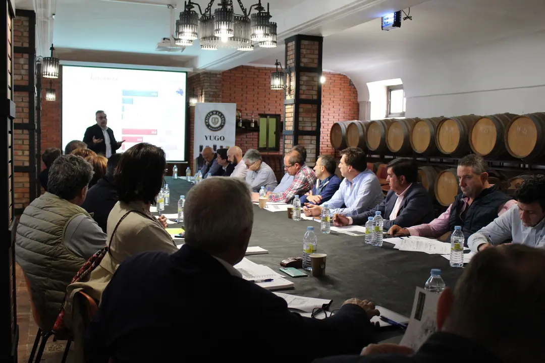 Comisi&oacute;n Sectorial Vitivin&iacute;cola de Cooperativas Agro-alimentarias en Socu&eacute;llamos