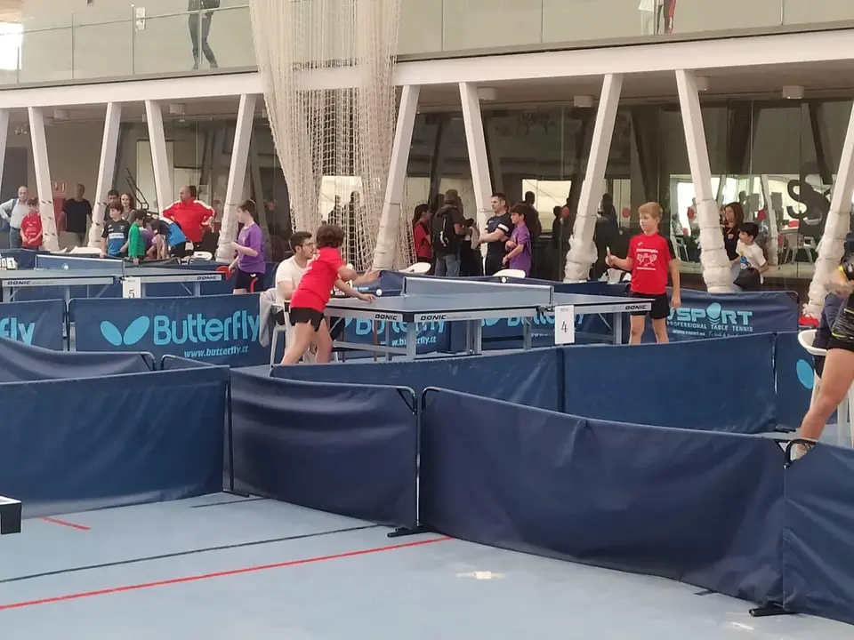 351002972_207636708821346_4631061113797945021_n