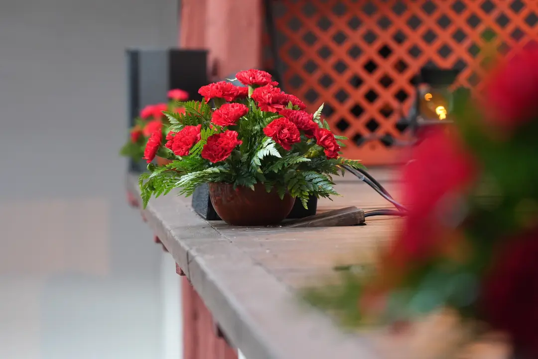 xlvi-festival-internacional-de-teatro-clsico-de-almagro_53011562845_o