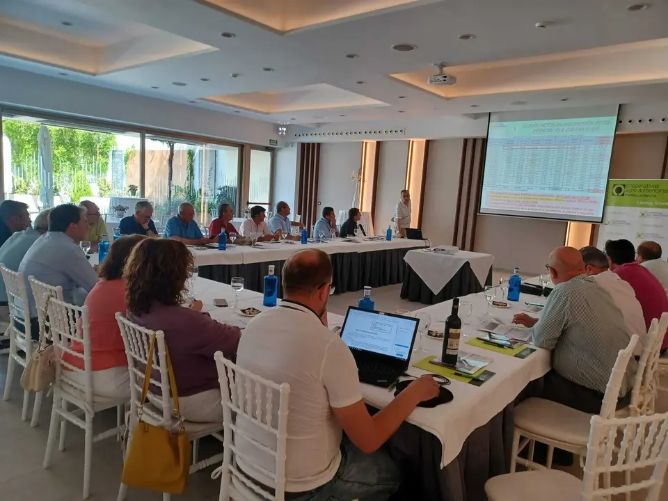 WhatsApp Image 2023-07-13 at 12.01.31 (1)