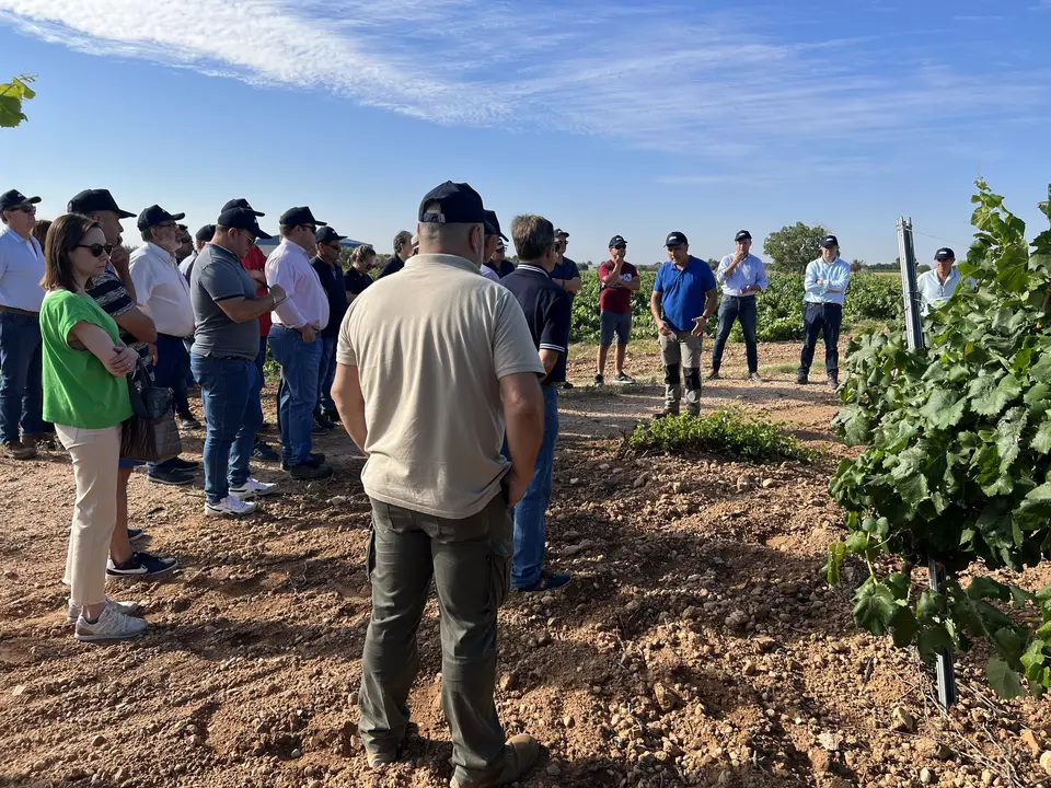 JORNADA T&Eacute;CNICA EL PROVENCIO CUAS