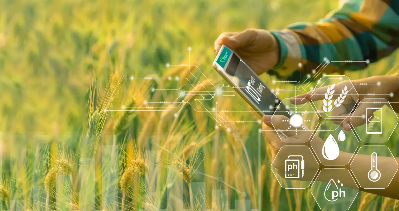 20230808 foto Eurocaja Rural programa formativo cooperativas.docx