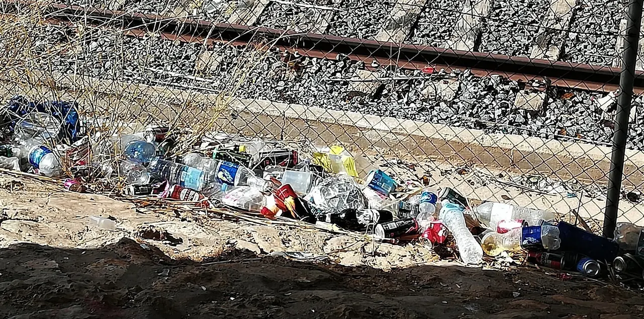 IMG_20230919_121959_resized_20230919_123119346