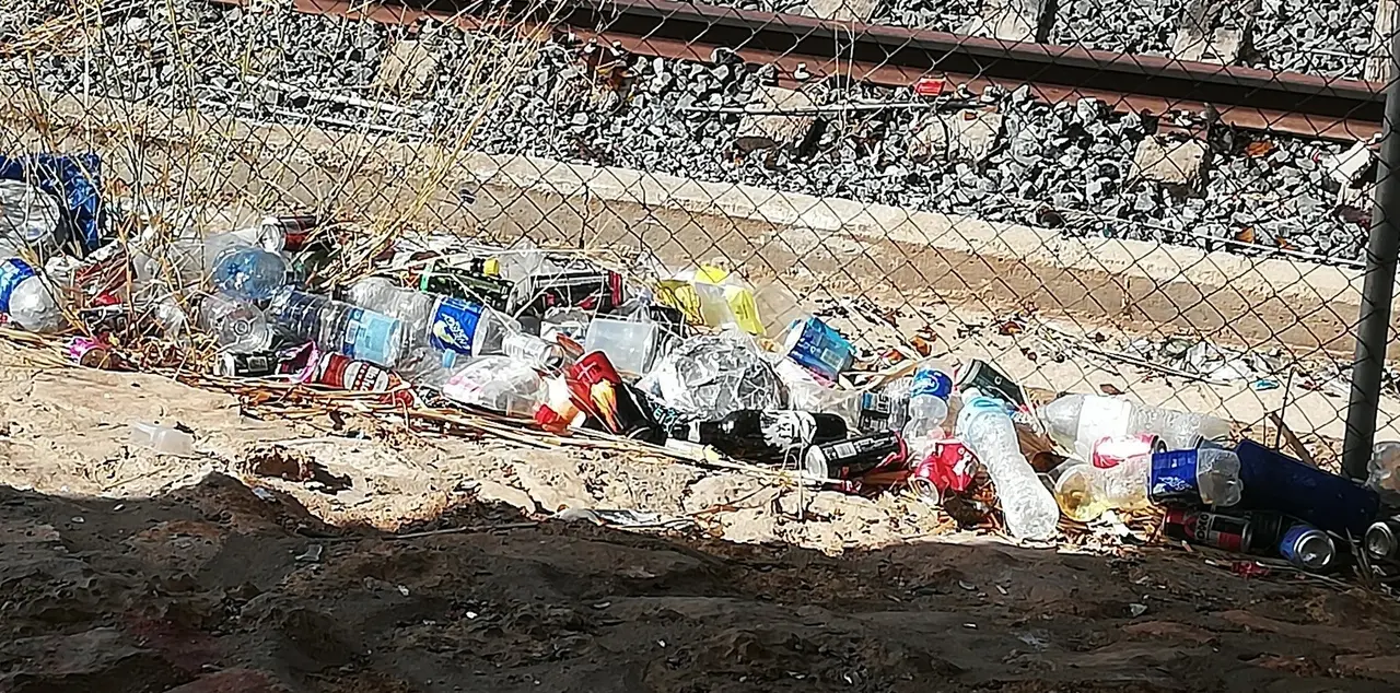 IMG_20230919_122011_resized_20230919_123118153