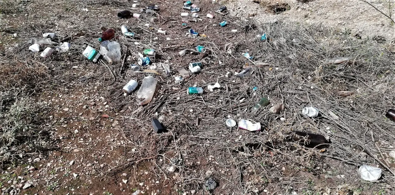 IMG_20230919_122318_resized_20230919_123122150