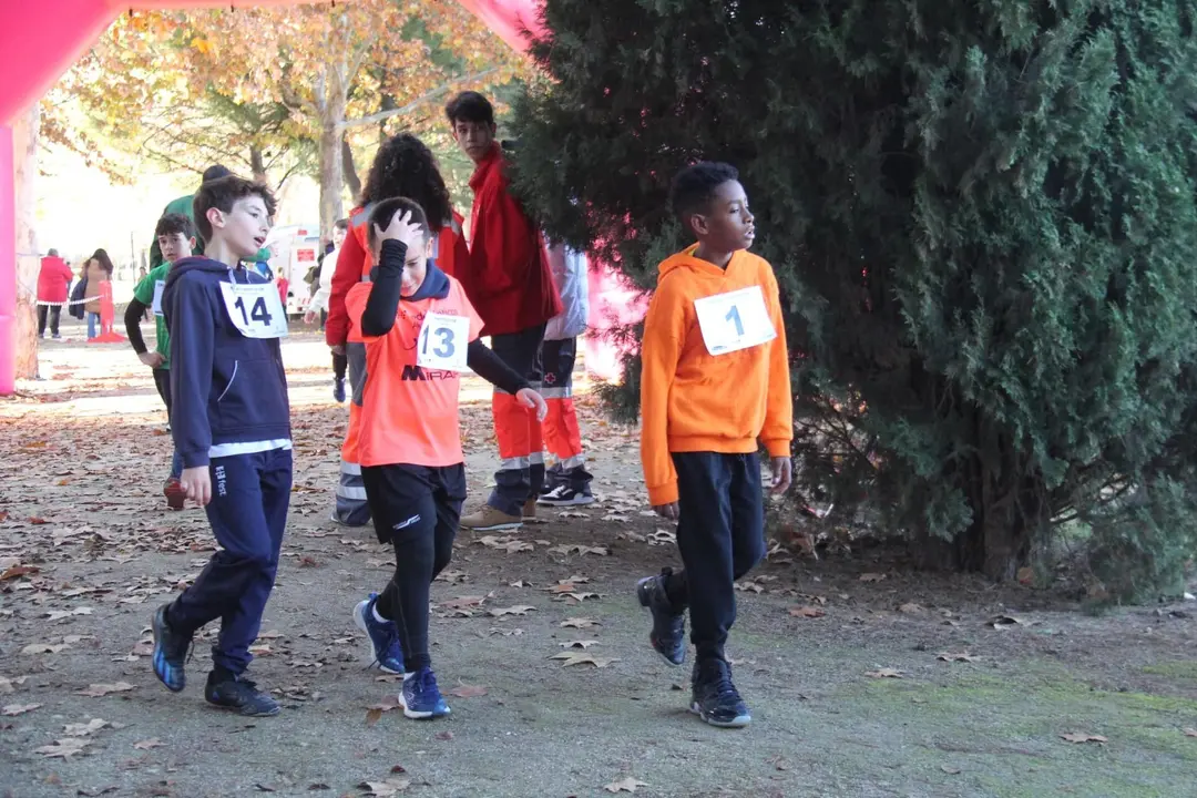 392958824_745397580948902_2776555291142336364_n