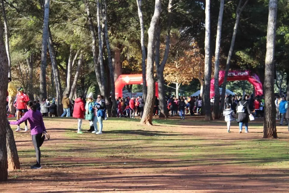 408254799_745397197615607_9124481630268632099_n