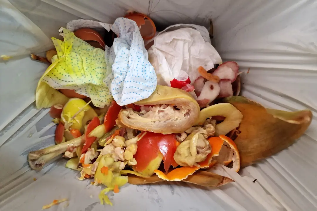 20231229_Reciclar organica esta fiestas_Comsermancha