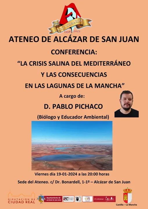 Cartel Pablo Pichaco 19-1