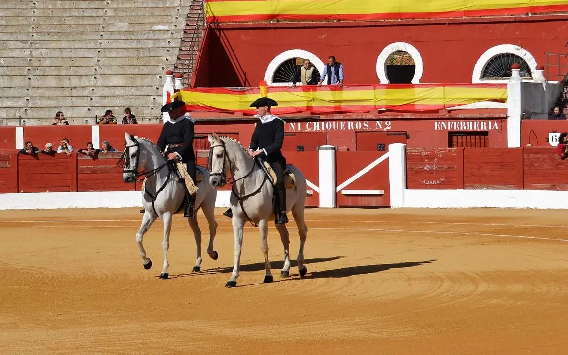 NOVILLADA FERIA DE LOS SABORES 2024 (13)
