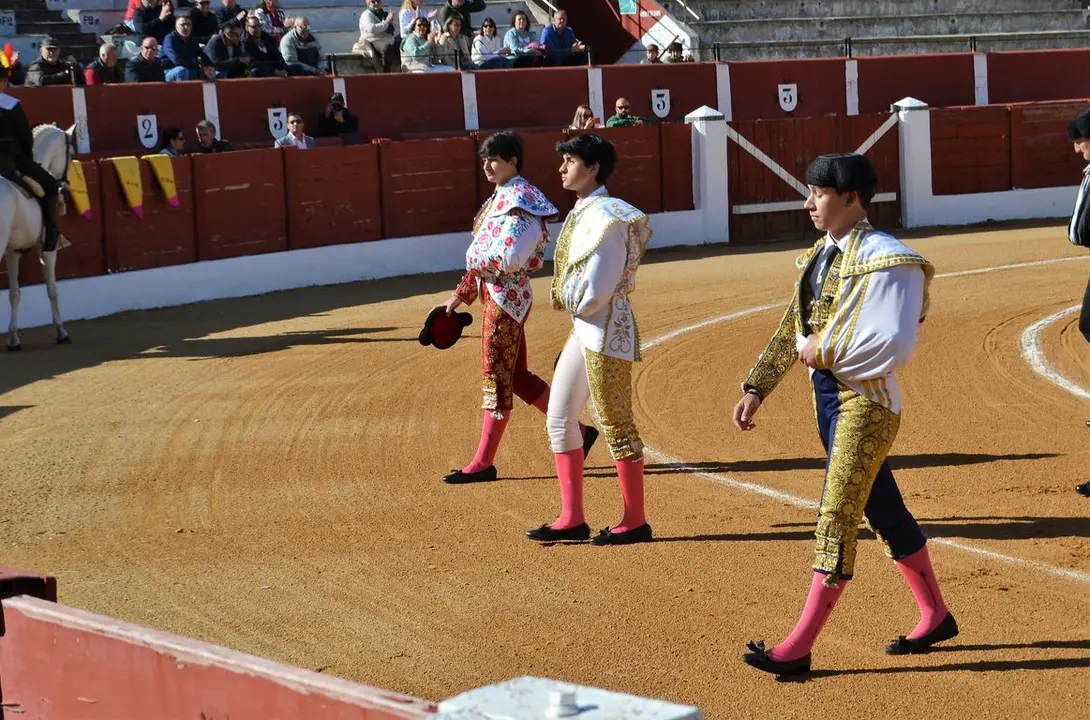 NOVILLADA FERIA DE LOS SABORES 2024 (16)