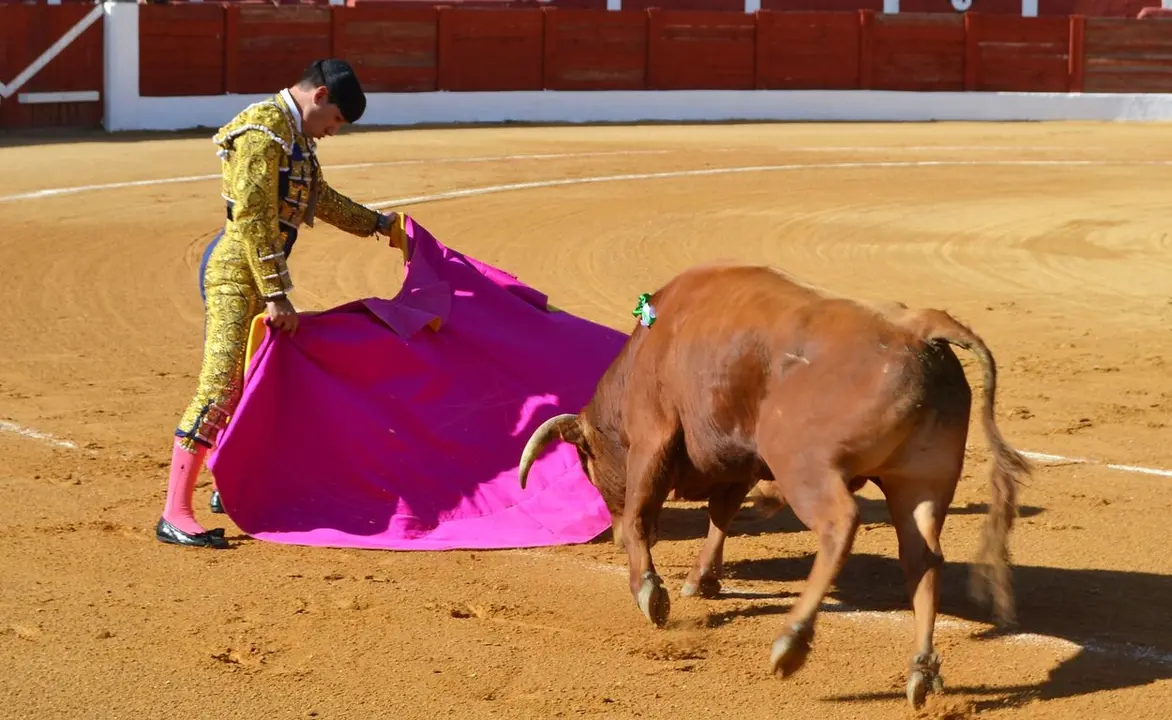 NOVILLADA FERIA DE LOS SABORES 2024 (18)