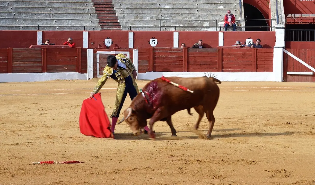 NOVILLADA FERIA DE LOS SABORES 2024 (25)