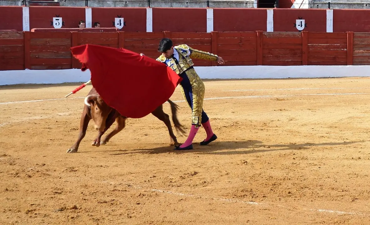 NOVILLADA FERIA DE LOS SABORES 2024 (28)