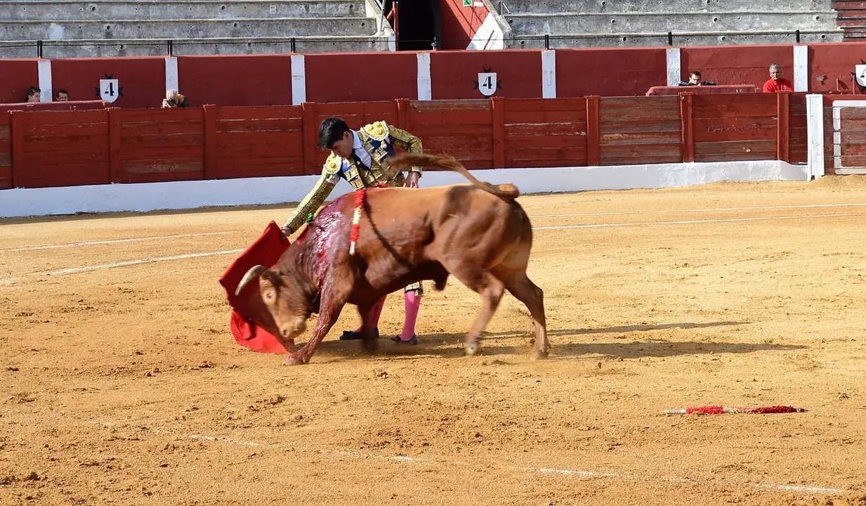 NOVILLADA FERIA DE LOS SABORES 2024 (29)