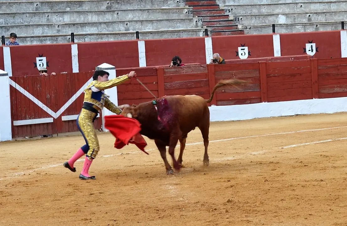 NOVILLADA FERIA DE LOS SABORES 2024 (35)