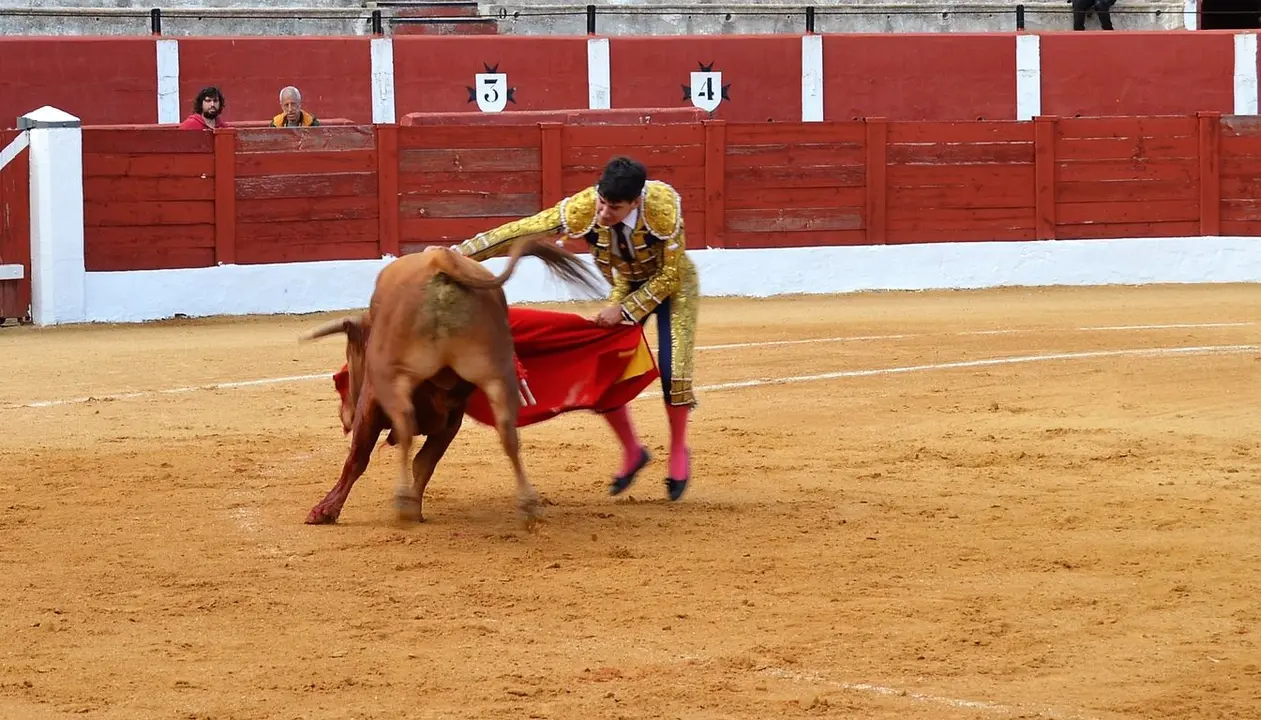 NOVILLADA FERIA DE LOS SABORES 2024 (36)