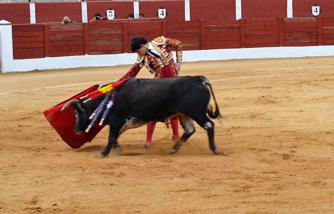 NOVILLADA FERIA DE LOS SABORES 2024 (44)