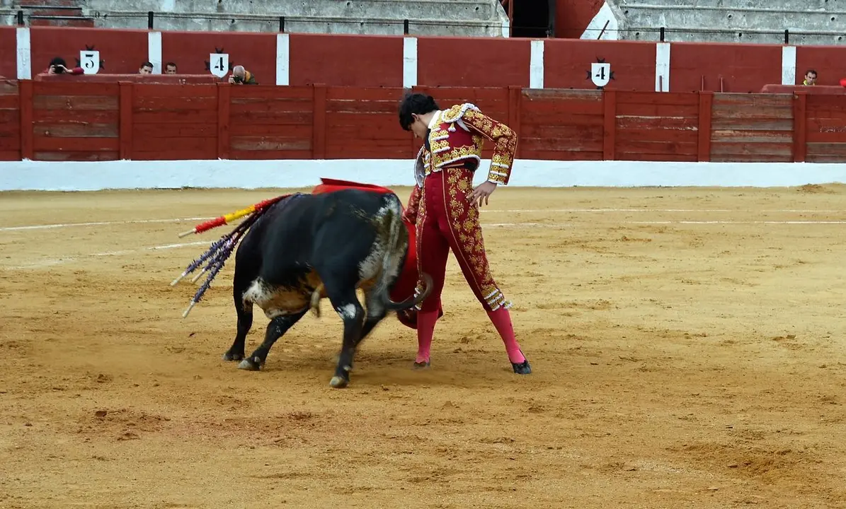 NOVILLADA FERIA DE LOS SABORES 2024 (49)