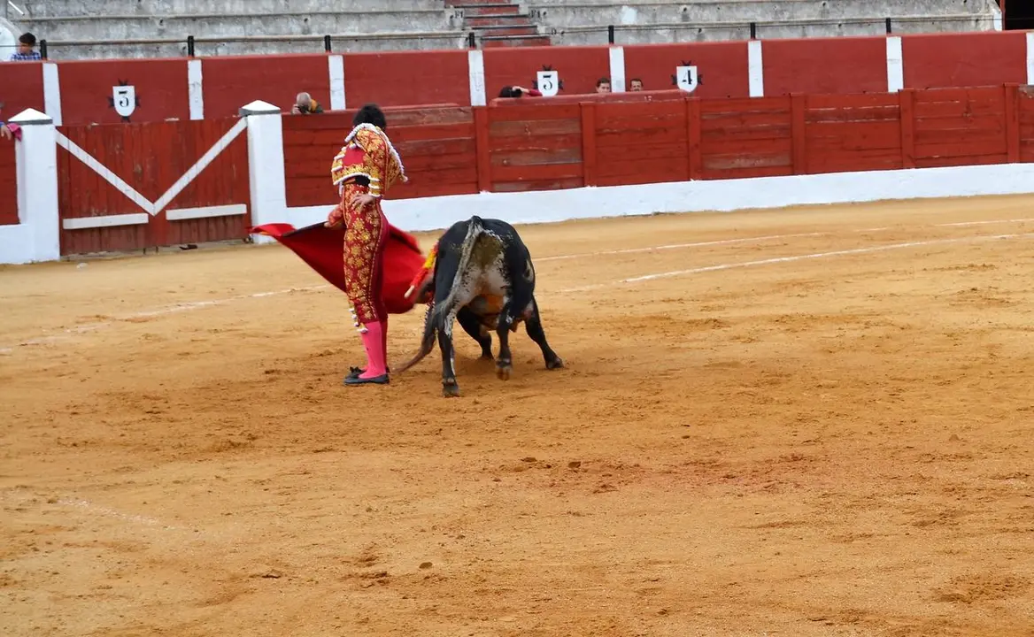 NOVILLADA FERIA DE LOS SABORES 2024 (50)