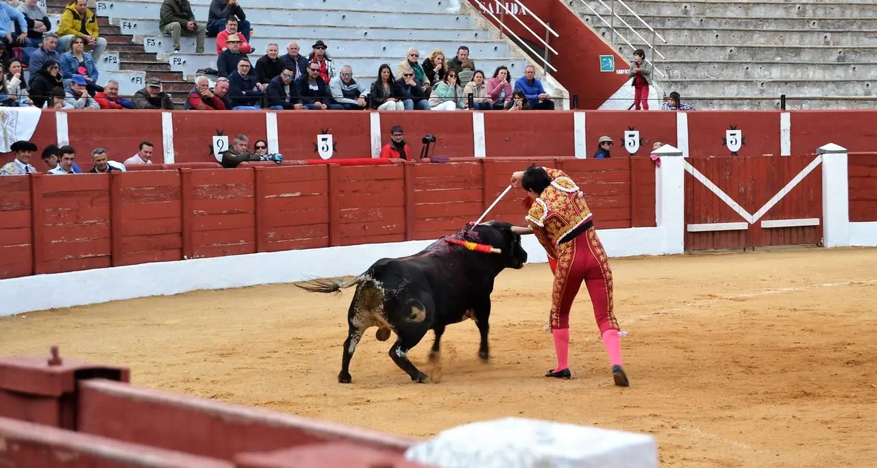 NOVILLADA FERIA DE LOS SABORES 2024 (54)