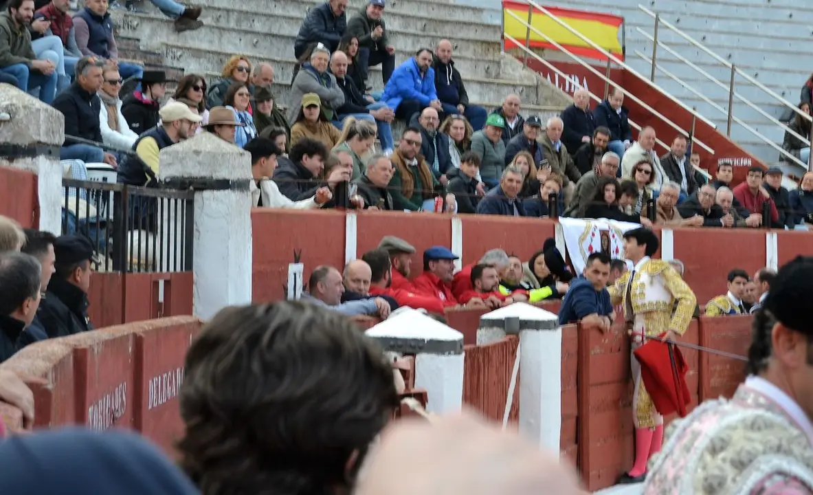 NOVILLADA FERIA DE LOS SABORES 2024 (61)