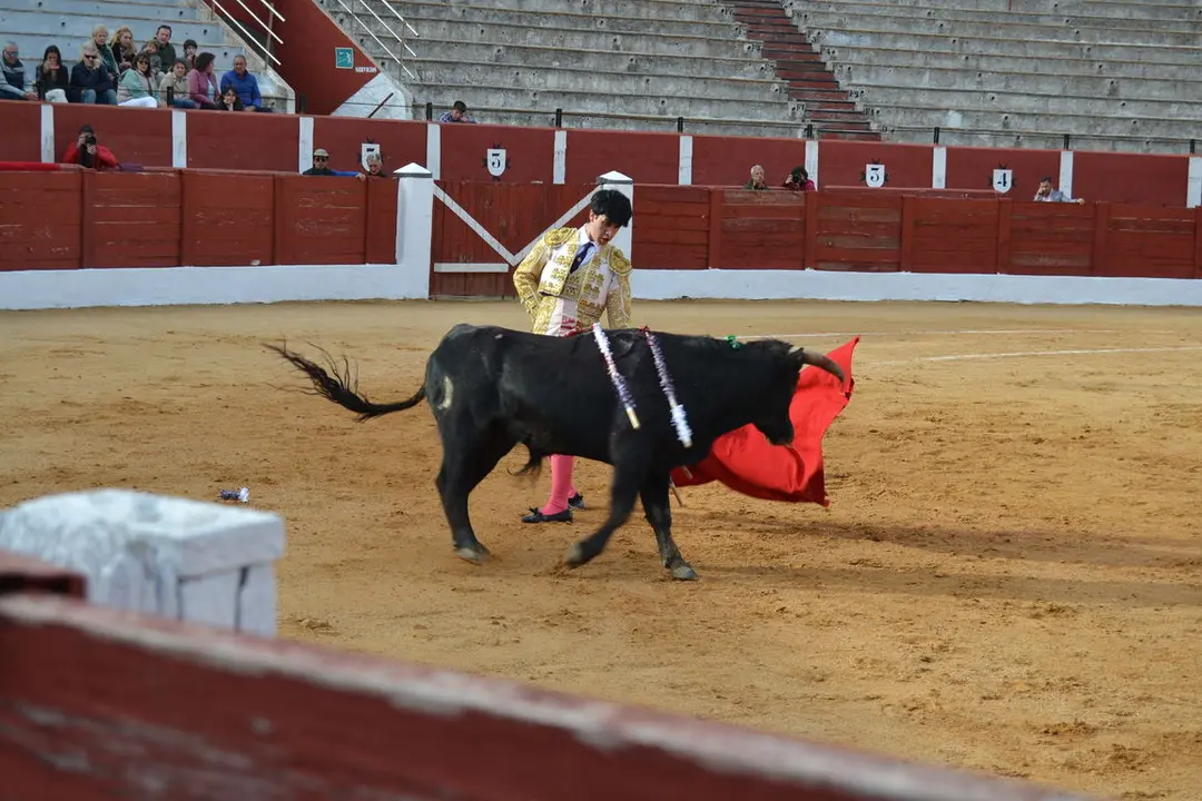 NOVILLADA FERIA DE LOS SABORES 2024 (71)
