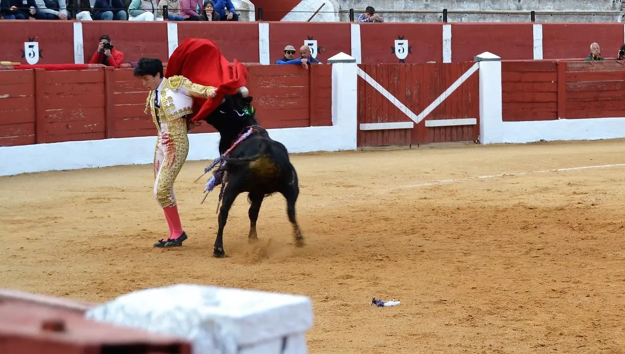 NOVILLADA FERIA DE LOS SABORES 2024 (76)