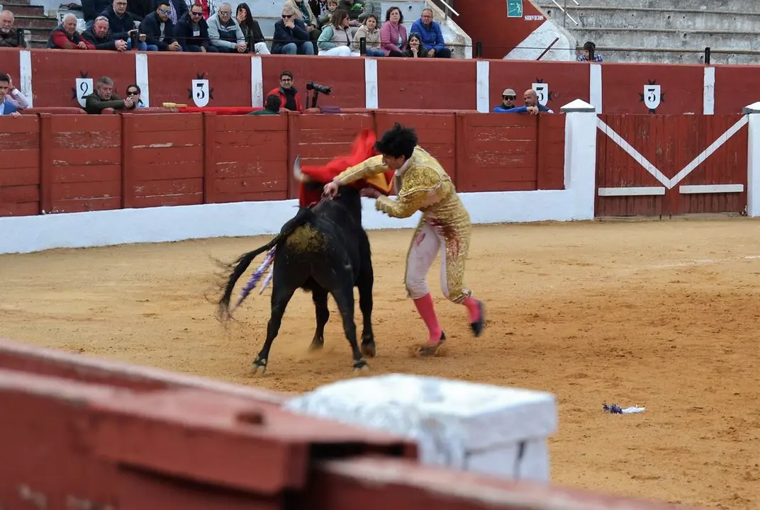 NOVILLADA FERIA DE LOS SABORES 2024 (77)