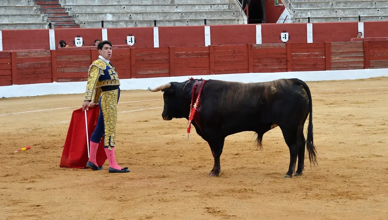NOVILLADA FERIA DE LOS SABORES 2024 (90)