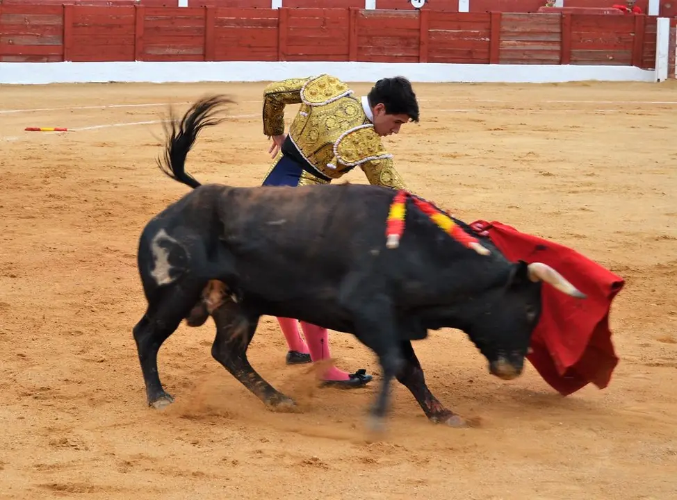NOVILLADA FERIA DE LOS SABORES 2024 (92)