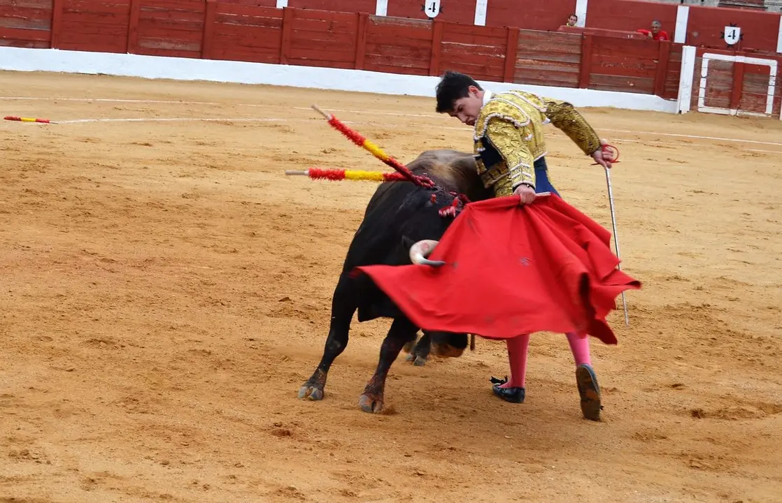 NOVILLADA FERIA DE LOS SABORES 2024 (93)