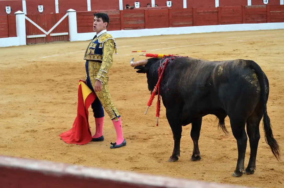 NOVILLADA FERIA DE LOS SABORES 2024 (95)