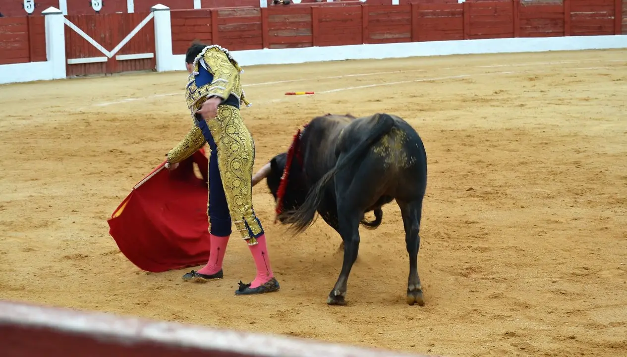 NOVILLADA FERIA DE LOS SABORES 2024 (96)