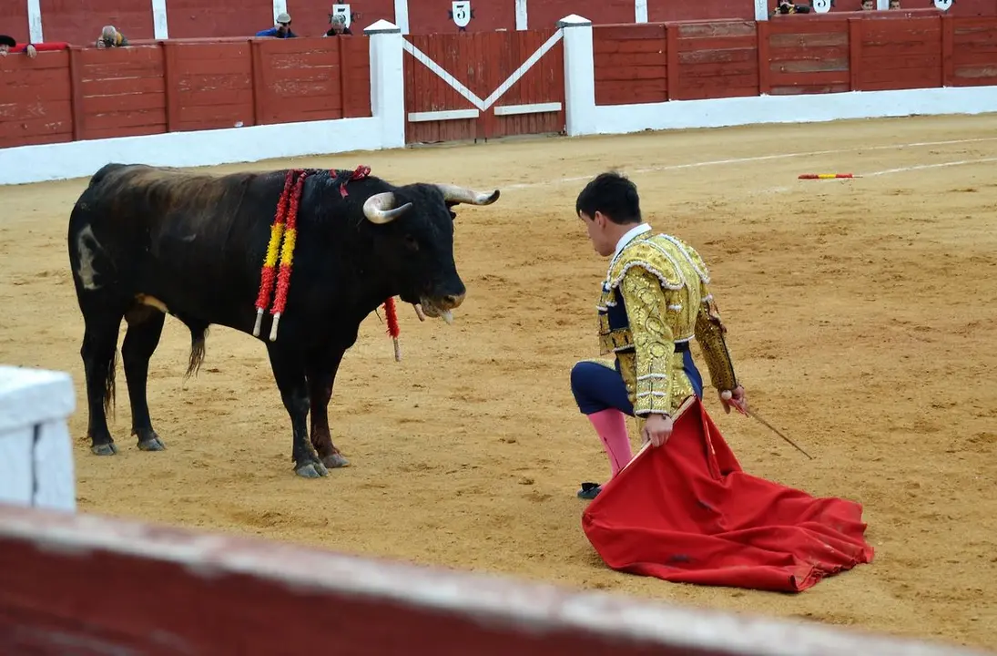 NOVILLADA FERIA DE LOS SABORES 2024 (99)