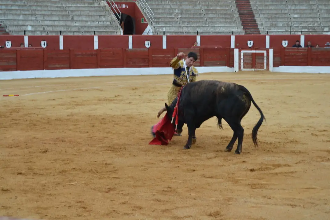 NOVILLADA FERIA DE LOS SABORES 2024 (100)