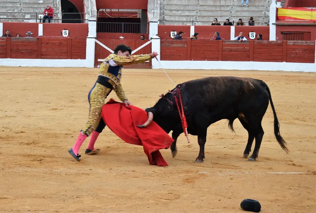 NOVILLADA FERIA DE LOS SABORES 2024 (101)