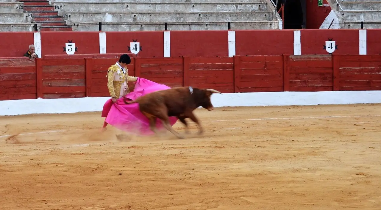 NOVILLADA FERIA DE LOS SABORES 2024 (108)