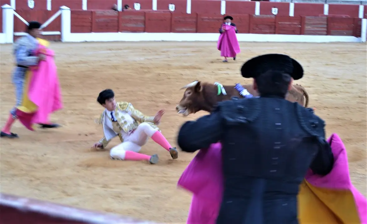 NOVILLADA FERIA DE LOS SABORES 2024 (113)