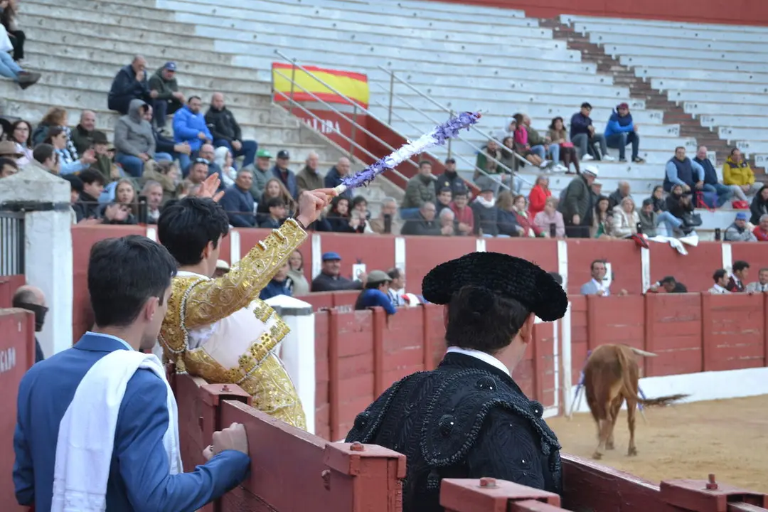 NOVILLADA FERIA DE LOS SABORES 2024 (116)