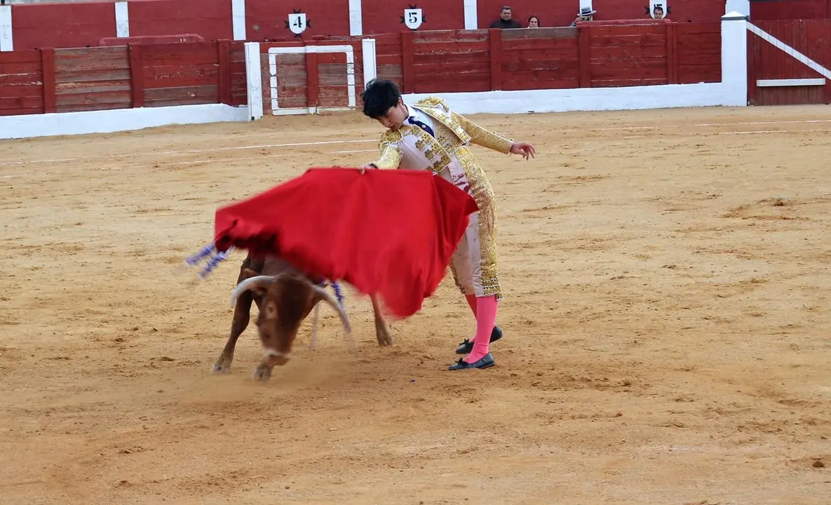 NOVILLADA FERIA DE LOS SABORES 2024 (123)