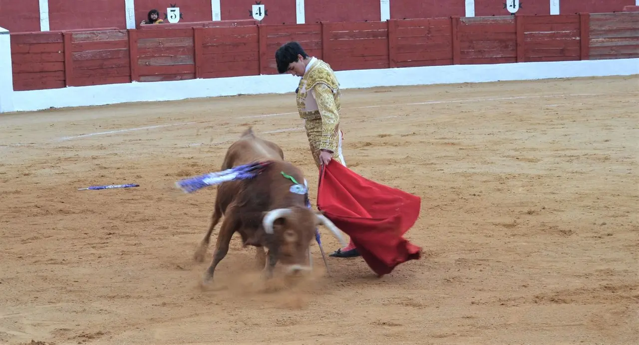 NOVILLADA FERIA DE LOS SABORES 2024 (129)