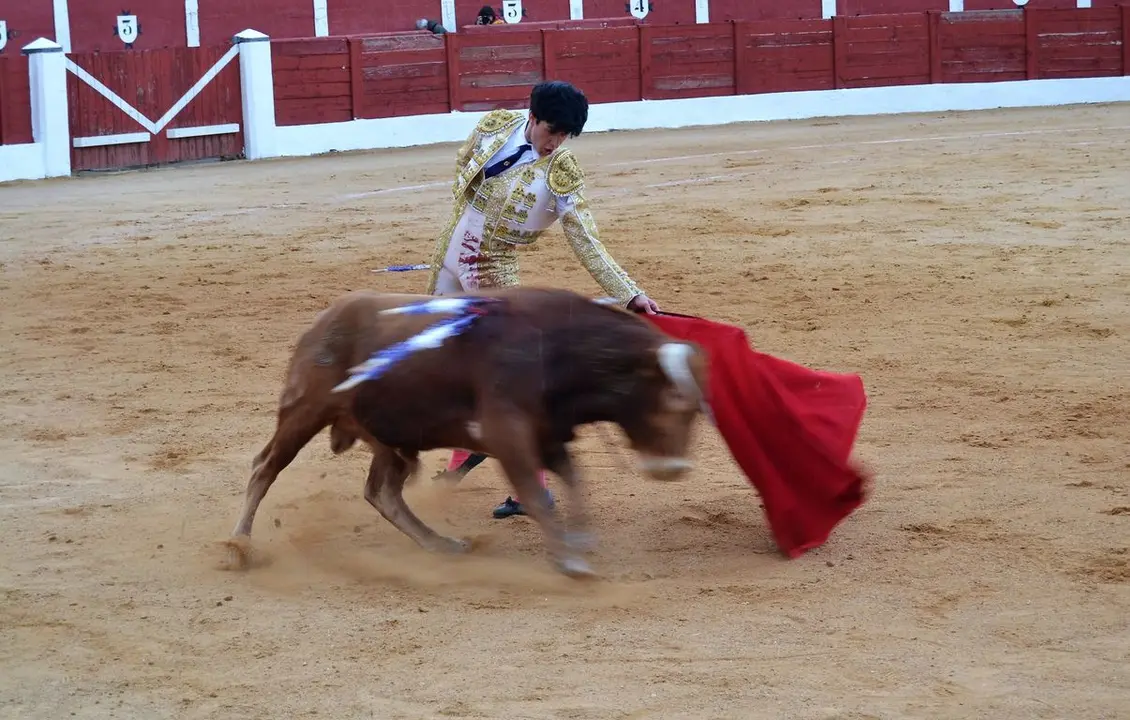 NOVILLADA FERIA DE LOS SABORES 2024 (130)