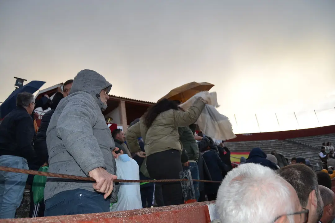 NOVILLADA FERIA DE LOS SABORES 2024 (131)